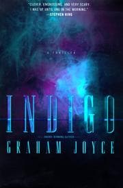 Indigo — Graham Joyce